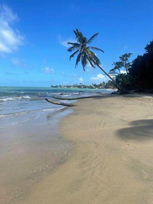 3Bedrm Beach Penthouse With Rooftop Terrace & Wifi Río Grande Exterior foto