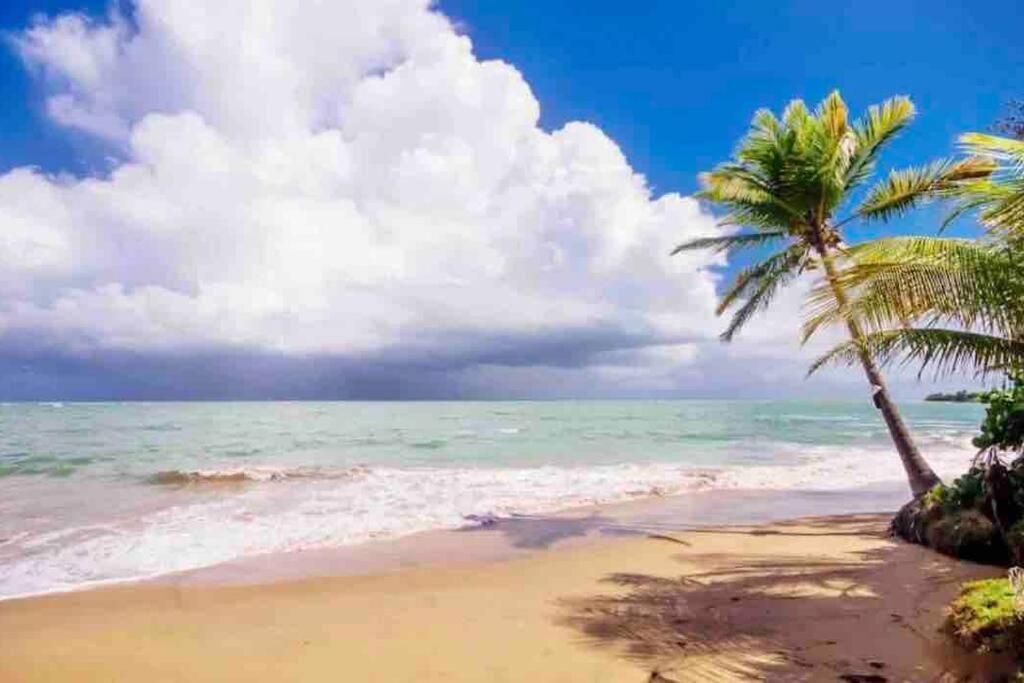 3Bedrm Beach Penthouse With Rooftop Terrace & Wifi Río Grande Exterior foto