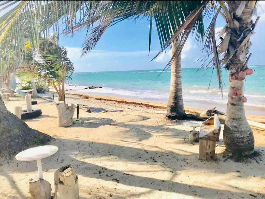 3Bedrm Beach Penthouse With Rooftop Terrace & Wifi Río Grande Exterior foto